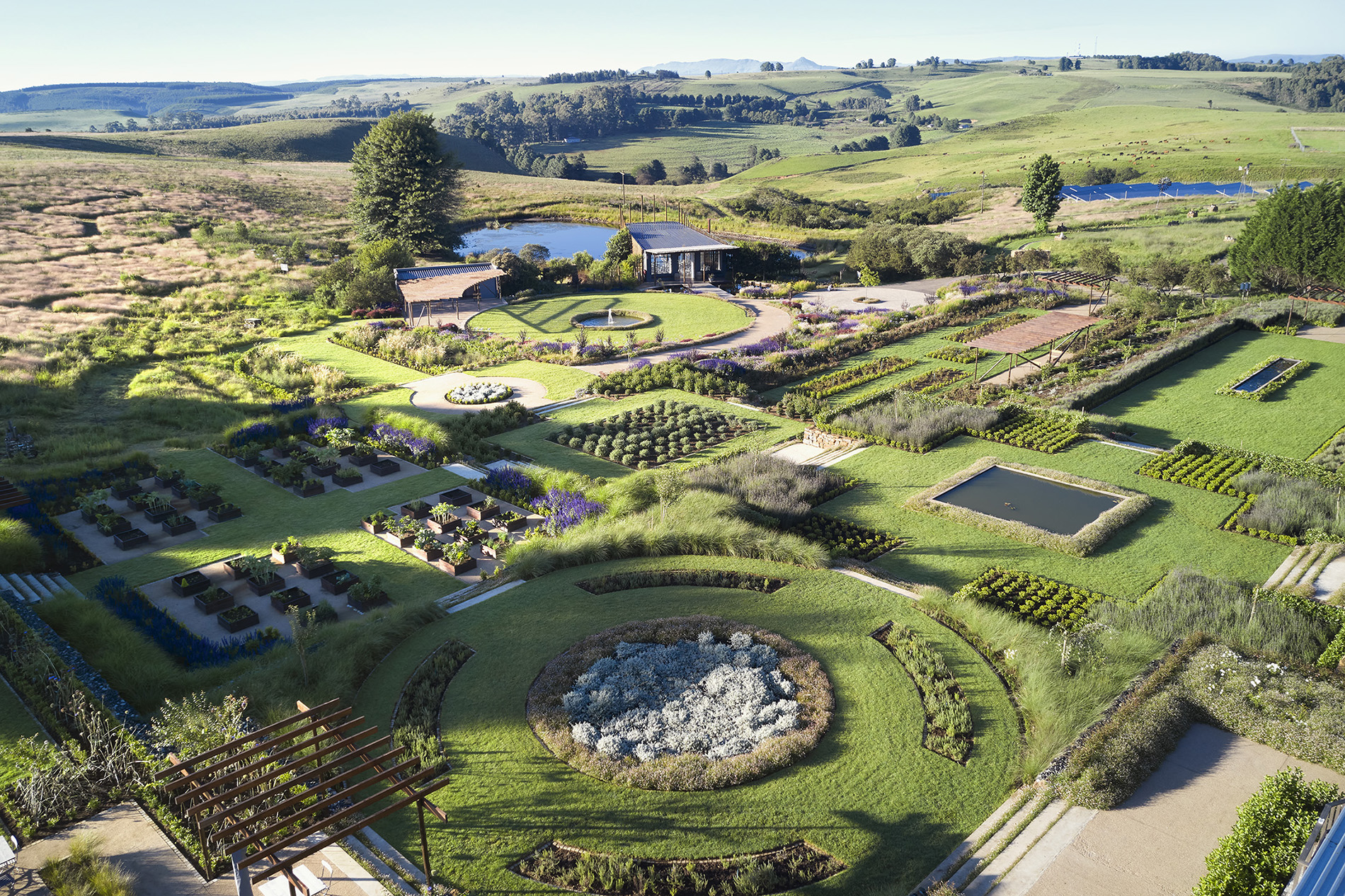 Award Winning Brahman Hills